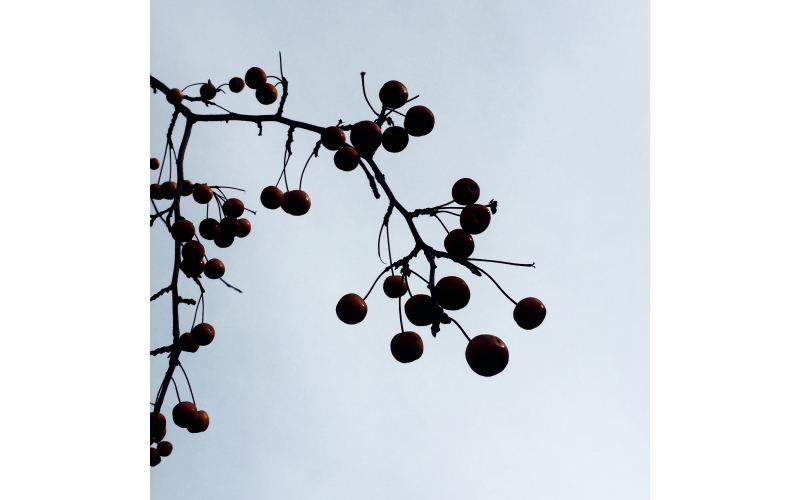 成熟設計是多年內功修煉的展現(xiàn)