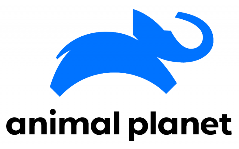 動物星體頻道的欄目品牌標志設計欣賞